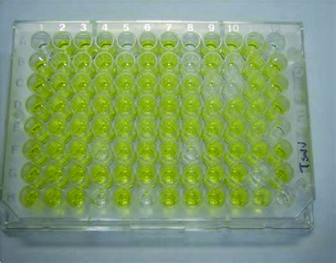 elisa test tube color|does elisa cause color change.